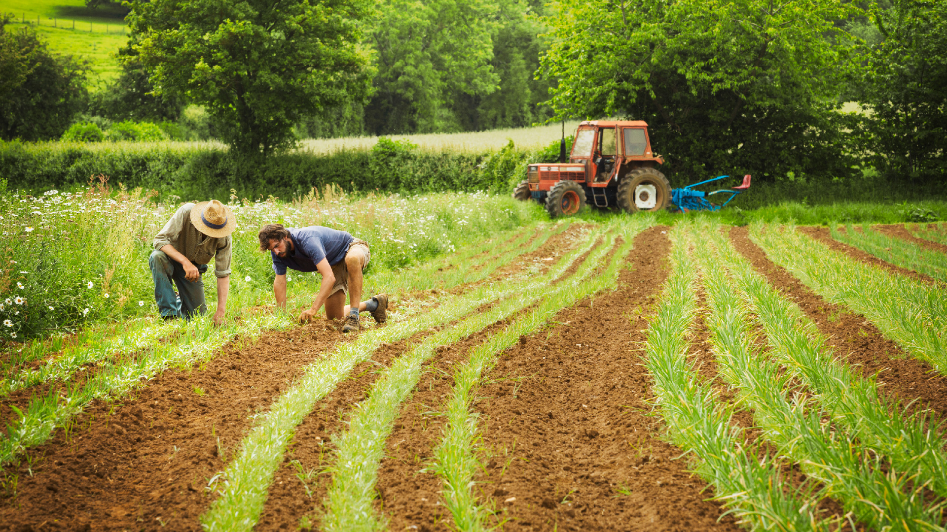 Un suelo sano, futuro lleno de oportunidades laborales
